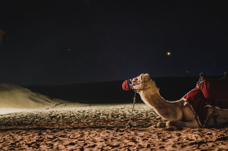 Stargazing Party