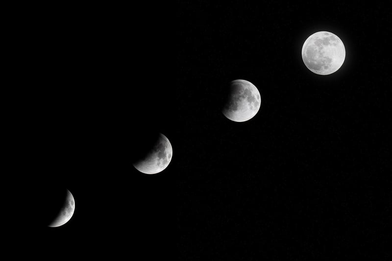 Moonlit Elegance