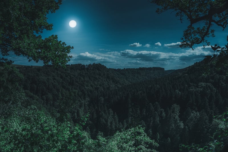 Lunar Picnic